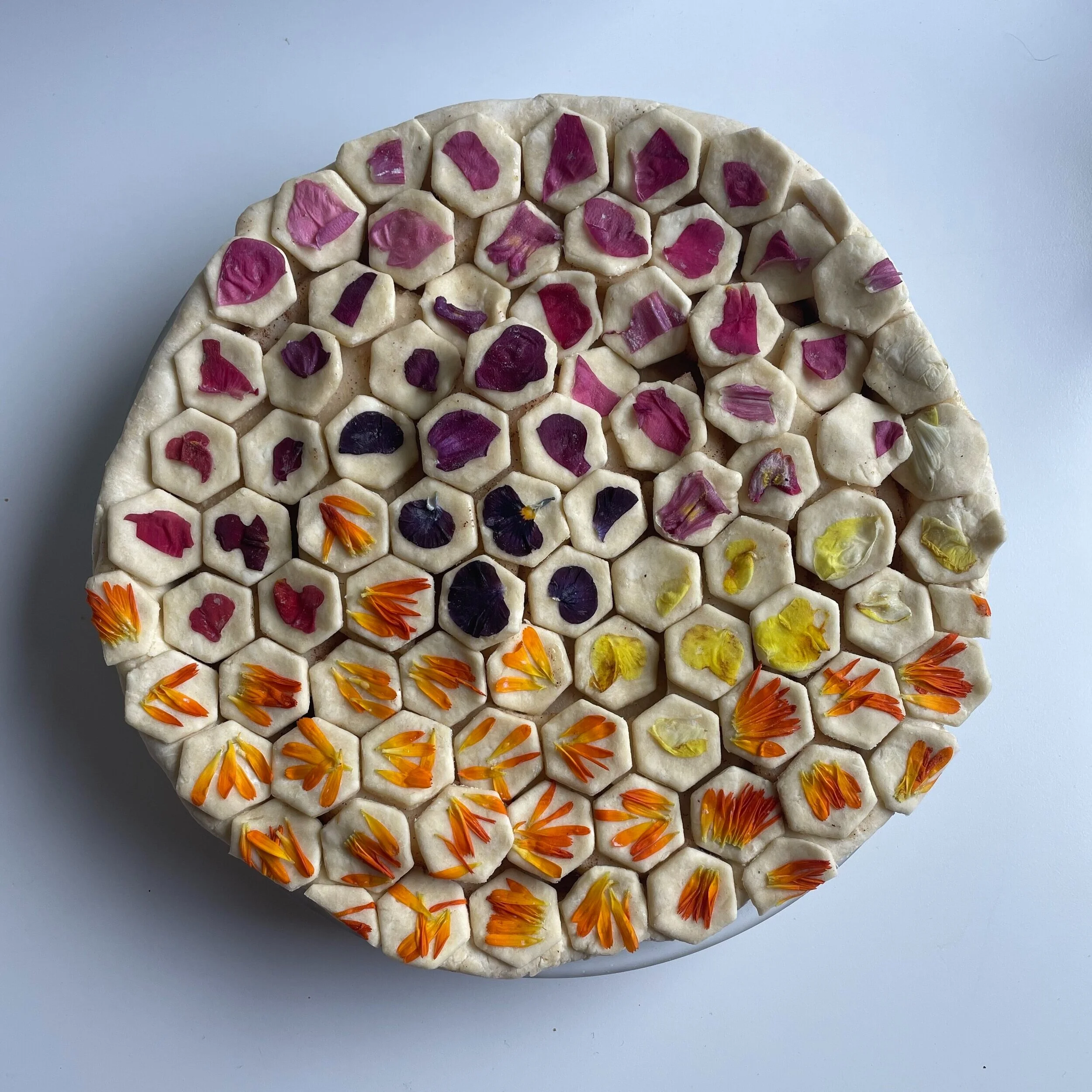 Book Review: ‘Pieometry’ by Lauren Ko